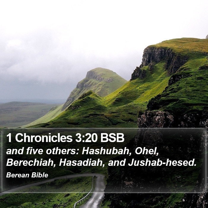 1 Chronicles 3:20 BSB Bible Study