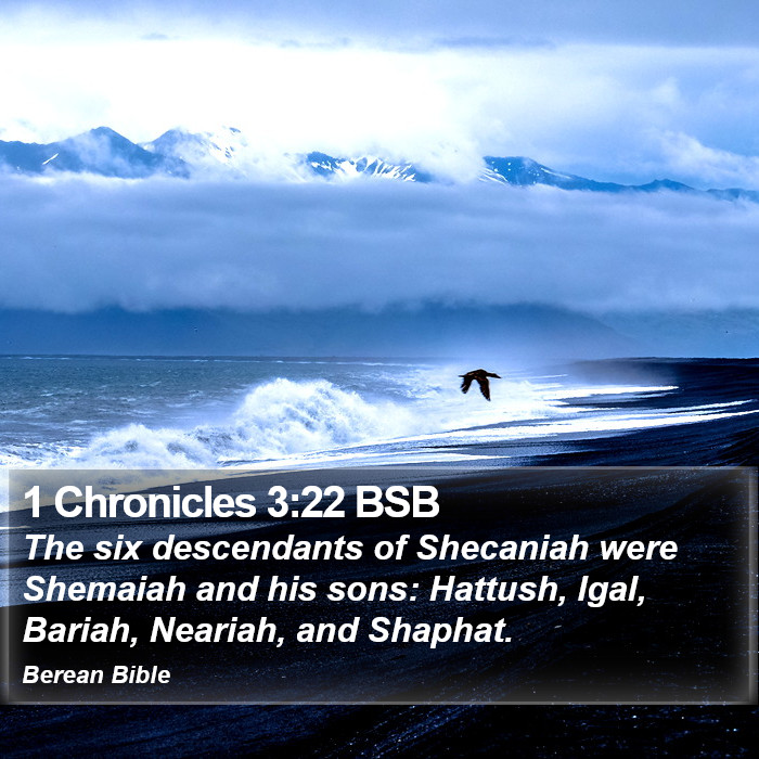 1 Chronicles 3:22 BSB Bible Study