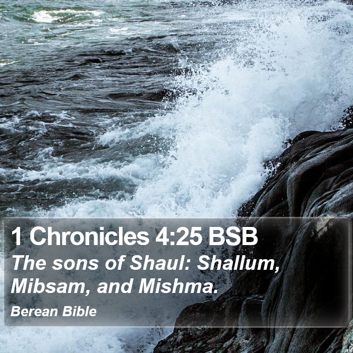 1 Chronicles 4:25 BSB Bible Study