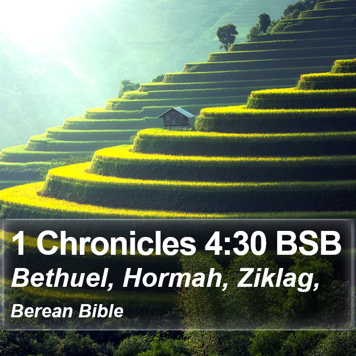 1 Chronicles 4:30 BSB Bible Study