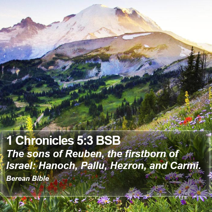 1 Chronicles 5:3 BSB Bible Study