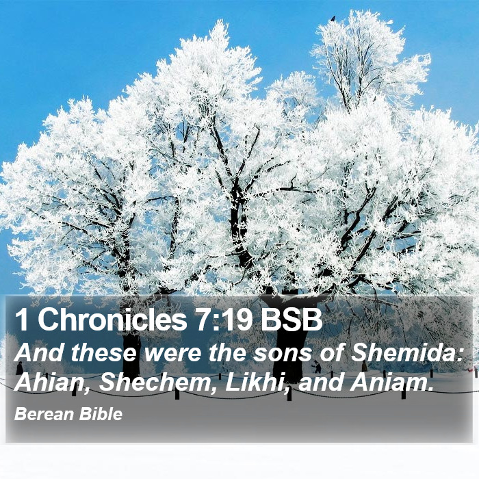 1 Chronicles 7:19 BSB Bible Study