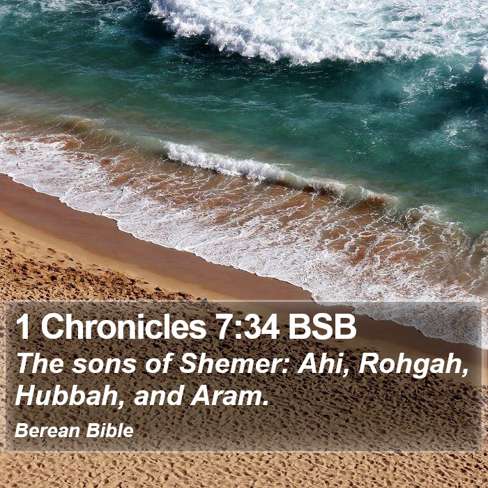 1 Chronicles 7:34 BSB Bible Study