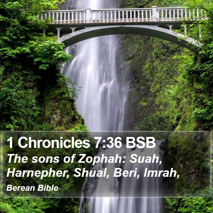 1 Chronicles 7:36 BSB Bible Study