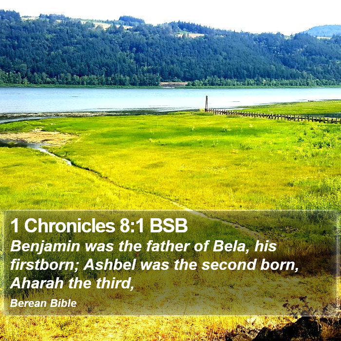 1 Chronicles 8:1 BSB Bible Study