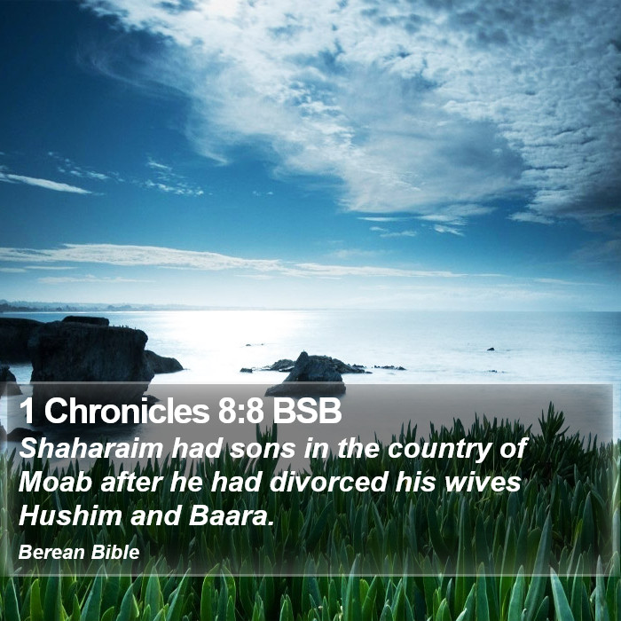 1 Chronicles 8:8 BSB Bible Study