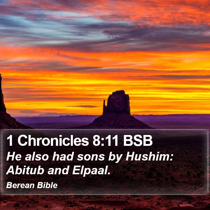 1 Chronicles 8:11 BSB Bible Study