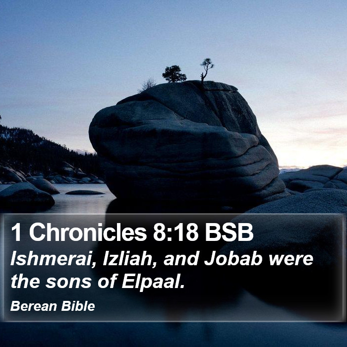 1 Chronicles 8:18 BSB Bible Study