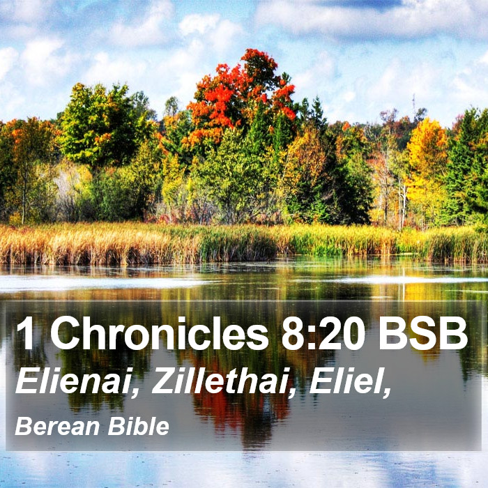 1 Chronicles 8:20 BSB Bible Study