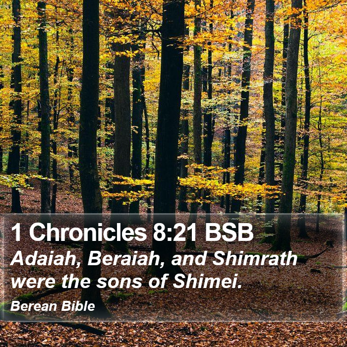 1 Chronicles 8:21 BSB Bible Study