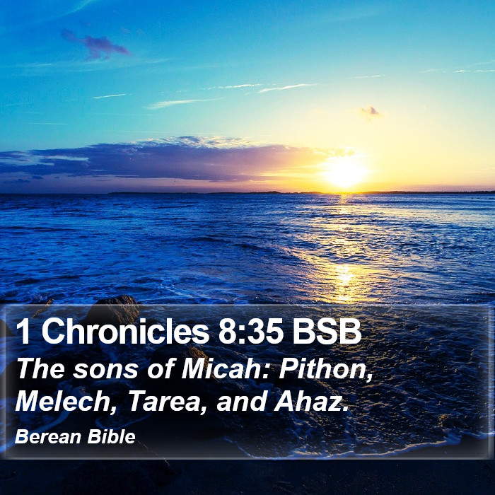 1 Chronicles 8:35 BSB Bible Study