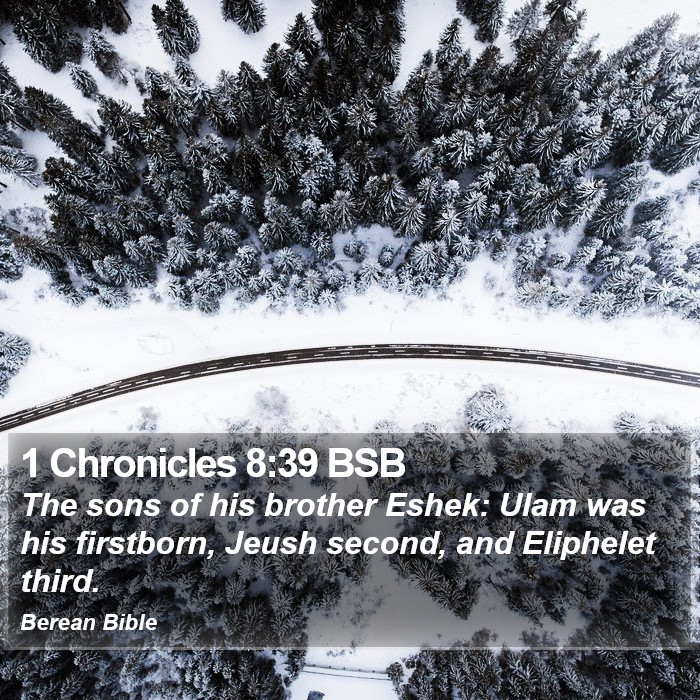 1 Chronicles 8:39 BSB Bible Study