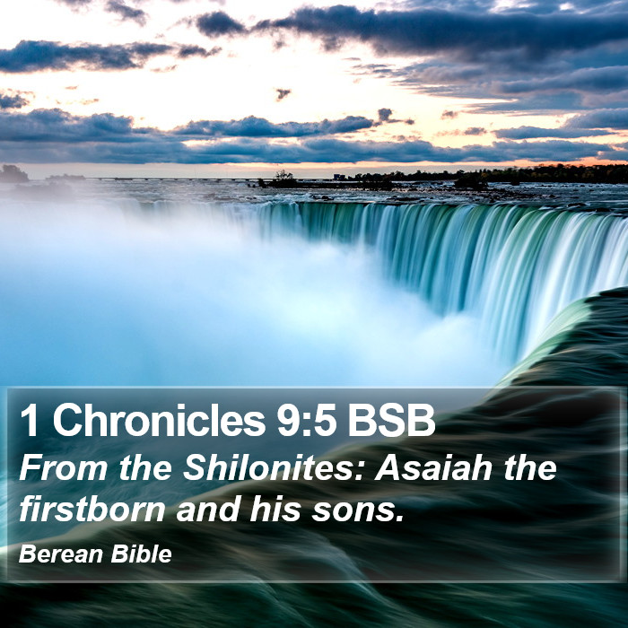 1 Chronicles 9:5 BSB Bible Study