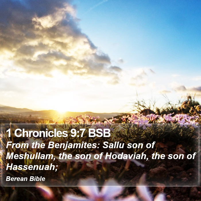 1 Chronicles 9:7 BSB Bible Study