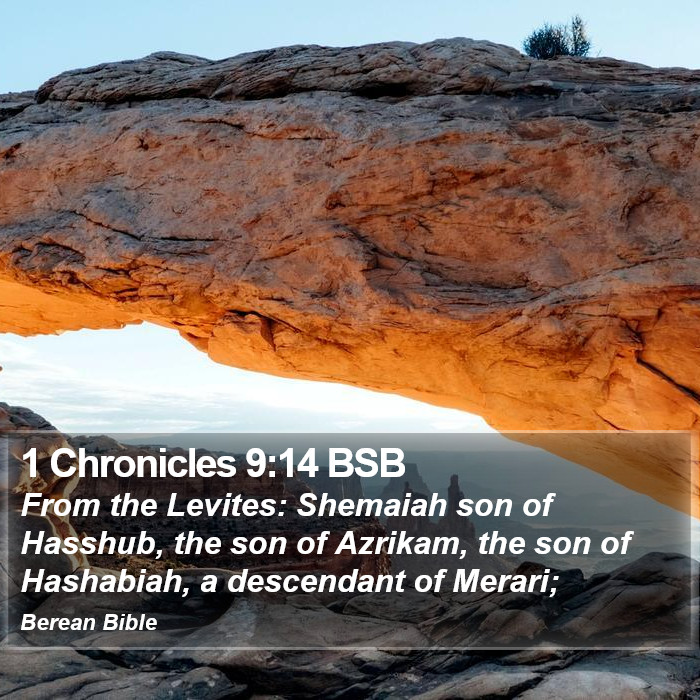 1 Chronicles 9:14 BSB Bible Study