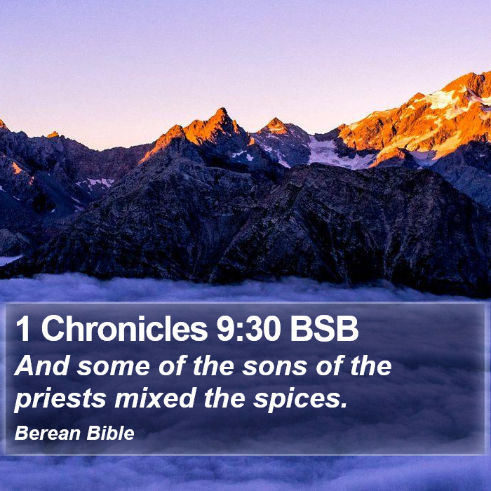 1 Chronicles 9:30 BSB Bible Study