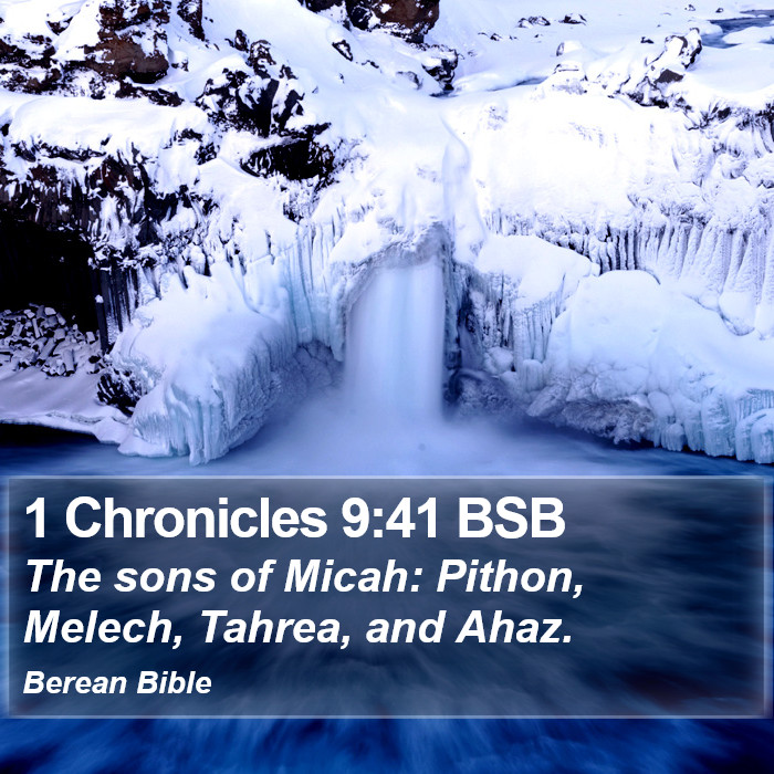 1 Chronicles 9:41 BSB Bible Study