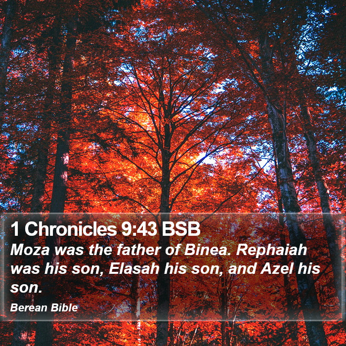 1 Chronicles 9:43 BSB Bible Study