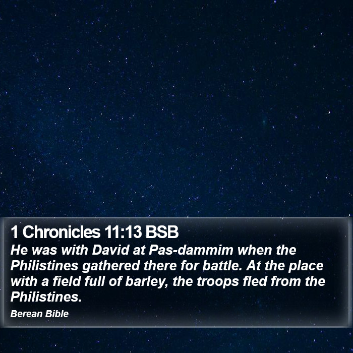 1 Chronicles 11:13 BSB Bible Study