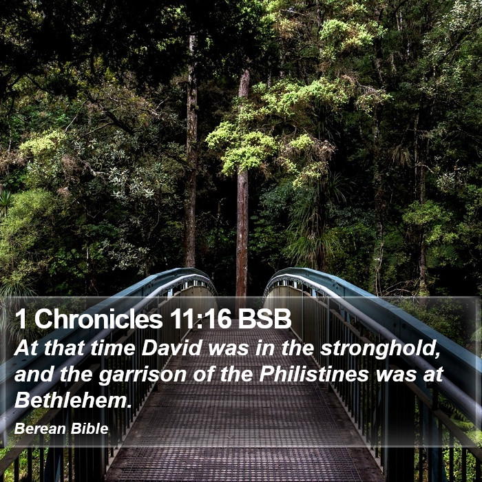 1 Chronicles 11:16 BSB Bible Study