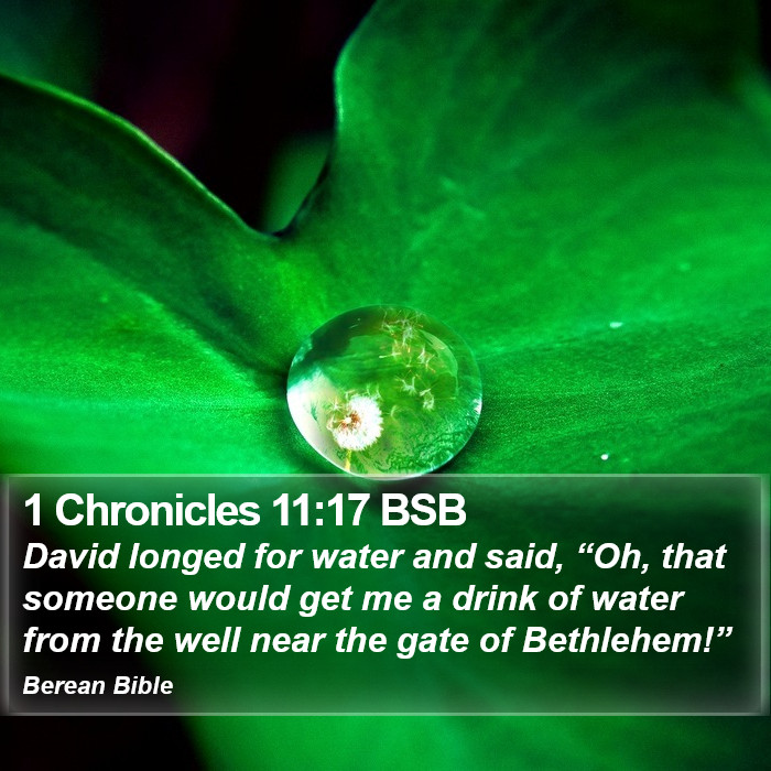 1 Chronicles 11:17 BSB Bible Study