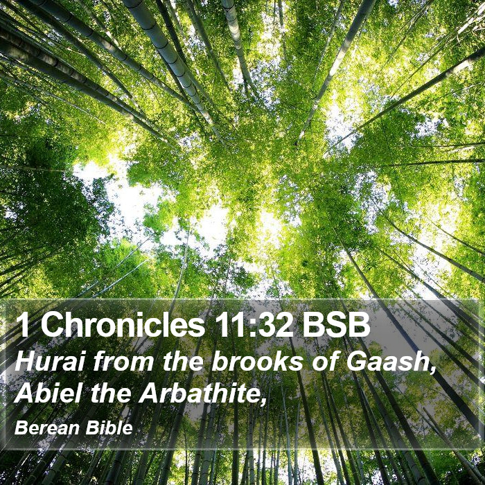 1 Chronicles 11:32 BSB Bible Study