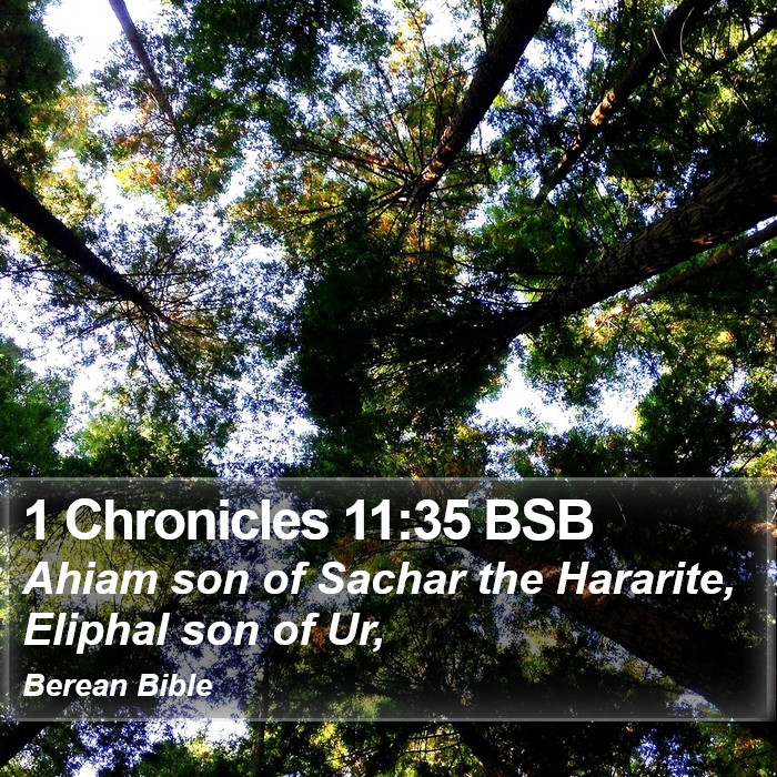 1 Chronicles 11:35 BSB Bible Study