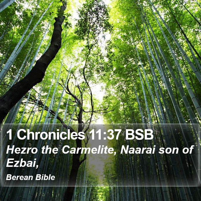 1 Chronicles 11:37 BSB Bible Study