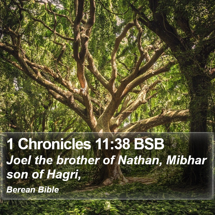 1 Chronicles 11:38 BSB Bible Study