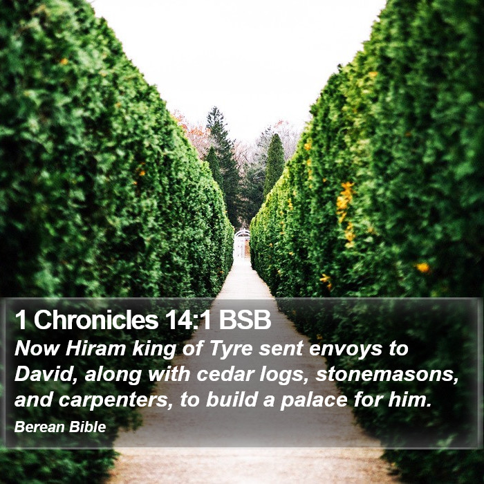 1 Chronicles 14:1 BSB Bible Study