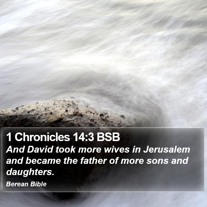 1 Chronicles 14:3 BSB Bible Study