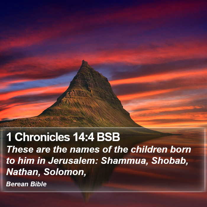 1 Chronicles 14:4 BSB Bible Study