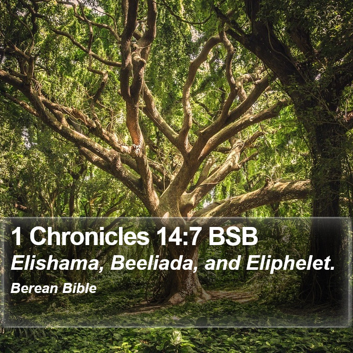 1 Chronicles 14:7 BSB Bible Study