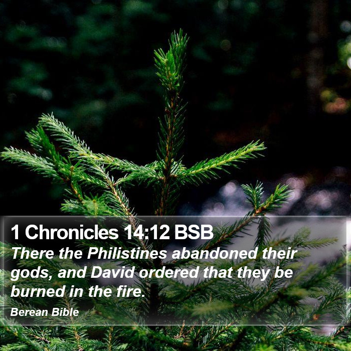 1 Chronicles 14:12 BSB Bible Study