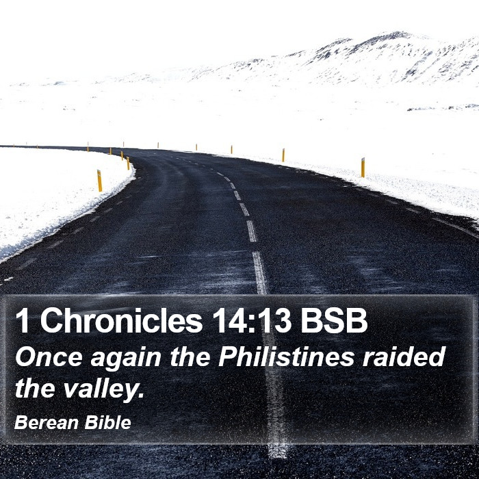 1 Chronicles 14:13 BSB Bible Study