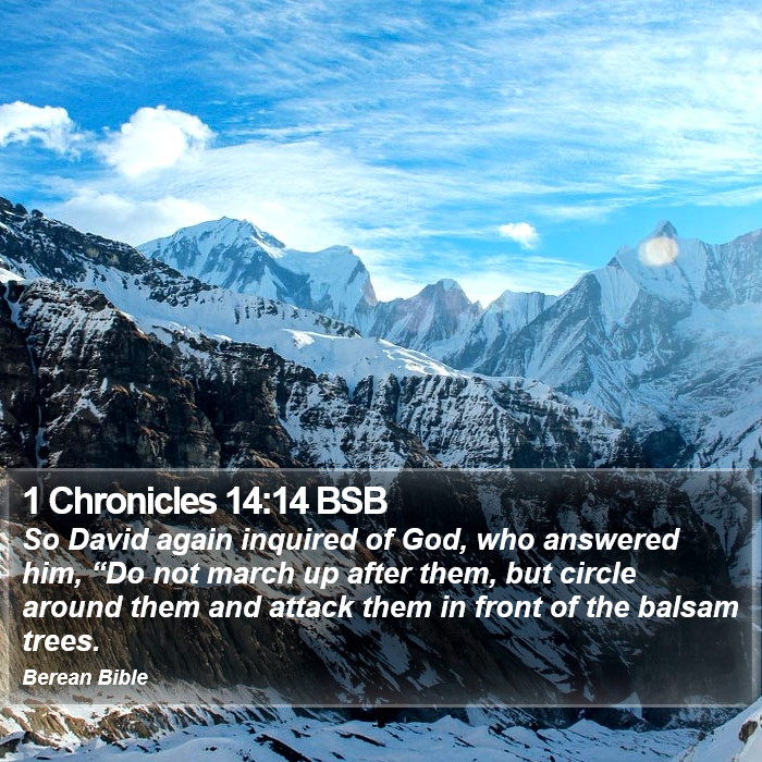 1 Chronicles 14:14 BSB Bible Study