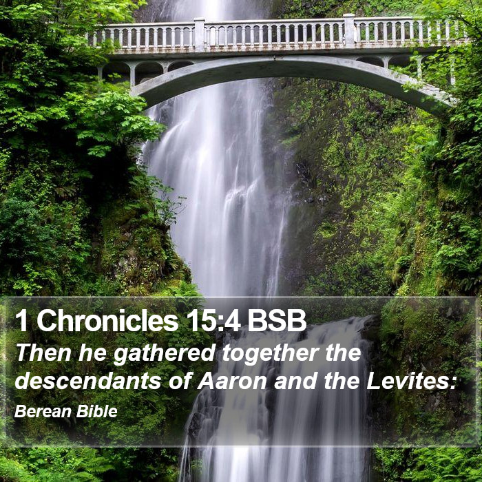 1 Chronicles 15:4 BSB Bible Study