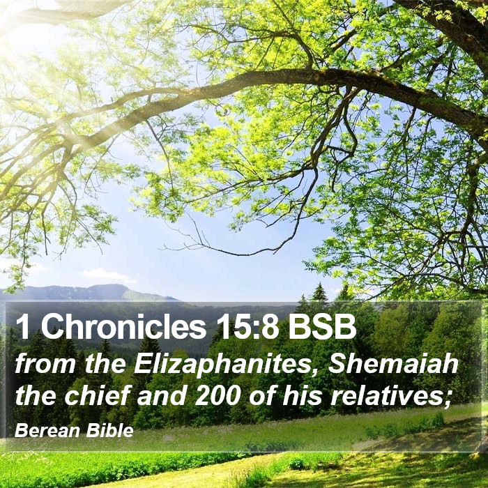 1 Chronicles 15:8 BSB Bible Study