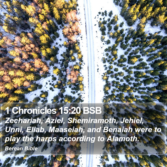 1 Chronicles 15:20 BSB Bible Study