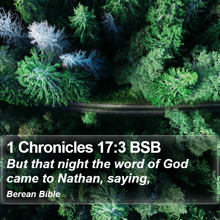 1 Chronicles 17:3 BSB Bible Study