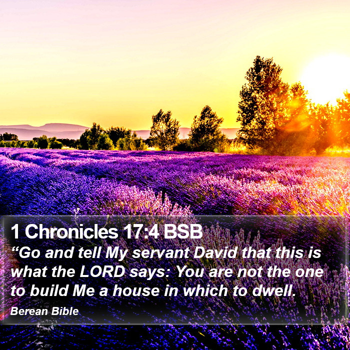 1 Chronicles 17:4 BSB Bible Study