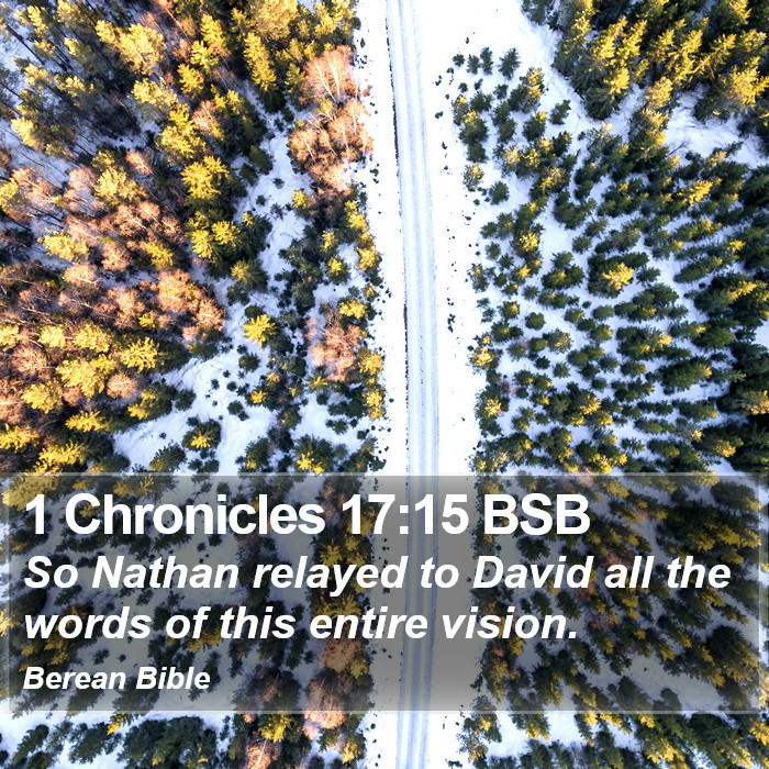 1 Chronicles 17:15 BSB Bible Study