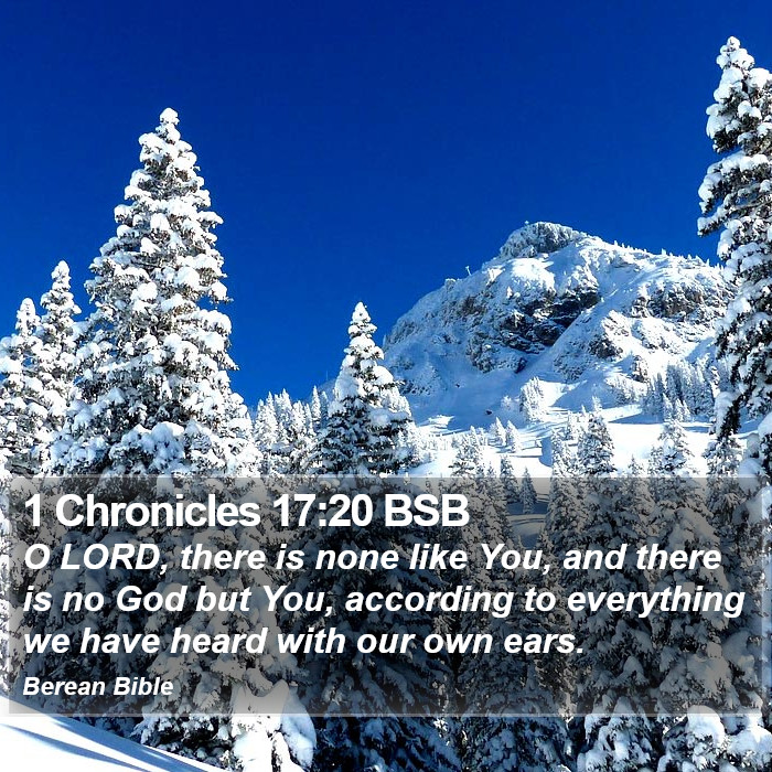 1 Chronicles 17:20 BSB Bible Study