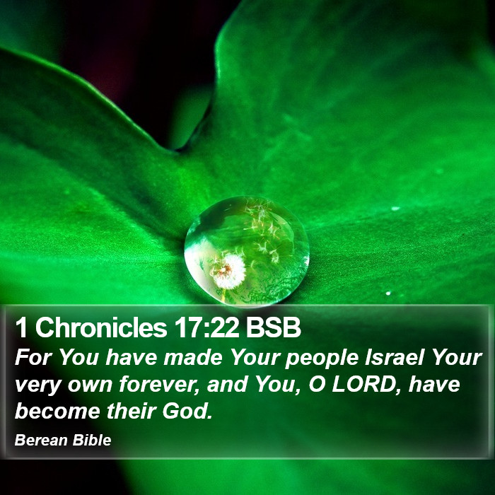 1 Chronicles 17:22 BSB Bible Study