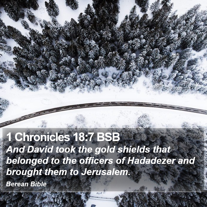 1 Chronicles 18:7 BSB Bible Study