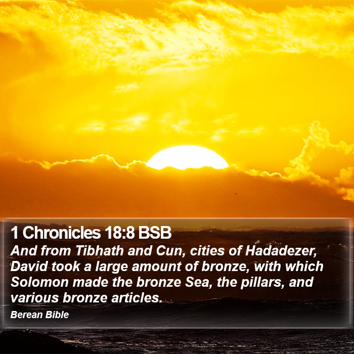 1 Chronicles 18:8 BSB Bible Study