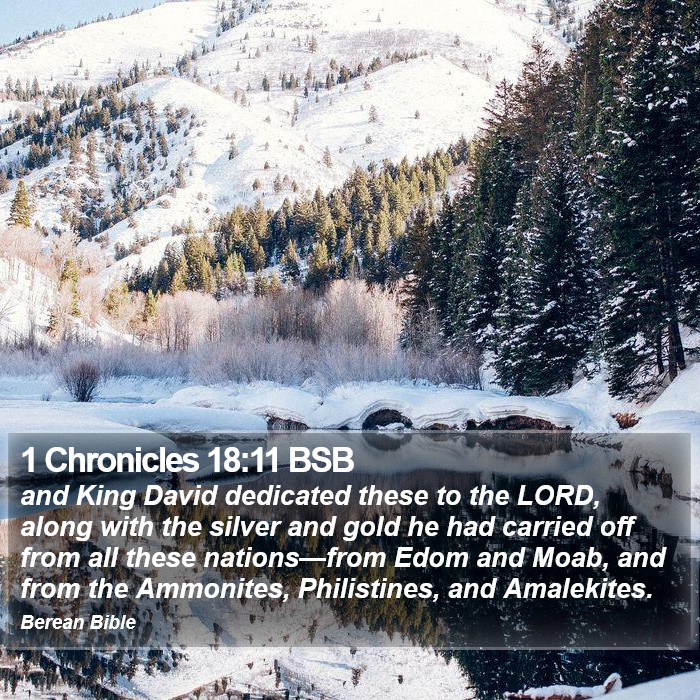 1 Chronicles 18:11 BSB Bible Study