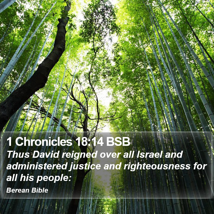 1 Chronicles 18:14 BSB Bible Study