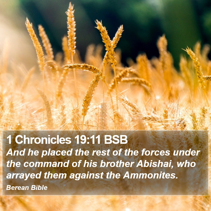 1 Chronicles 19:11 BSB Bible Study