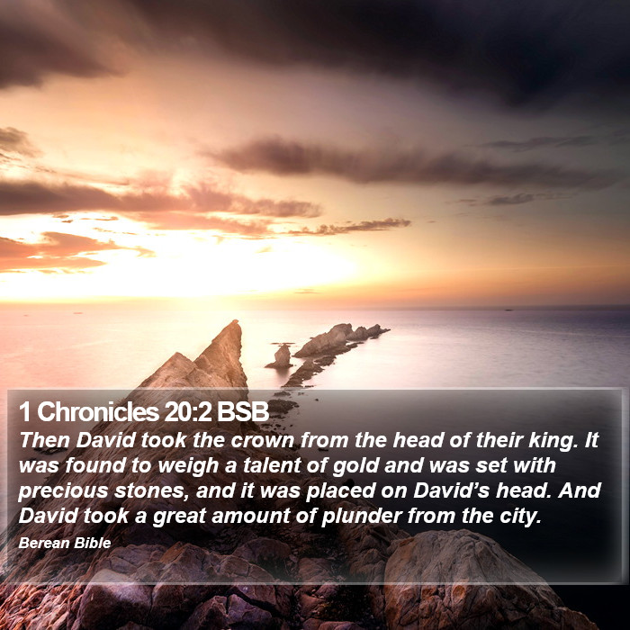 1 Chronicles 20:2 BSB Bible Study